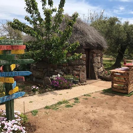 Azienda Agricola Affittacamere S'Ispinalba Di Laura Pitzolu Borore Exterior foto