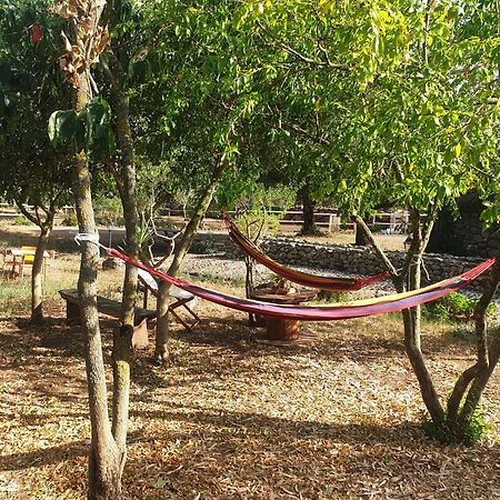 Azienda Agricola Affittacamere S'Ispinalba Di Laura Pitzolu Borore Exterior foto