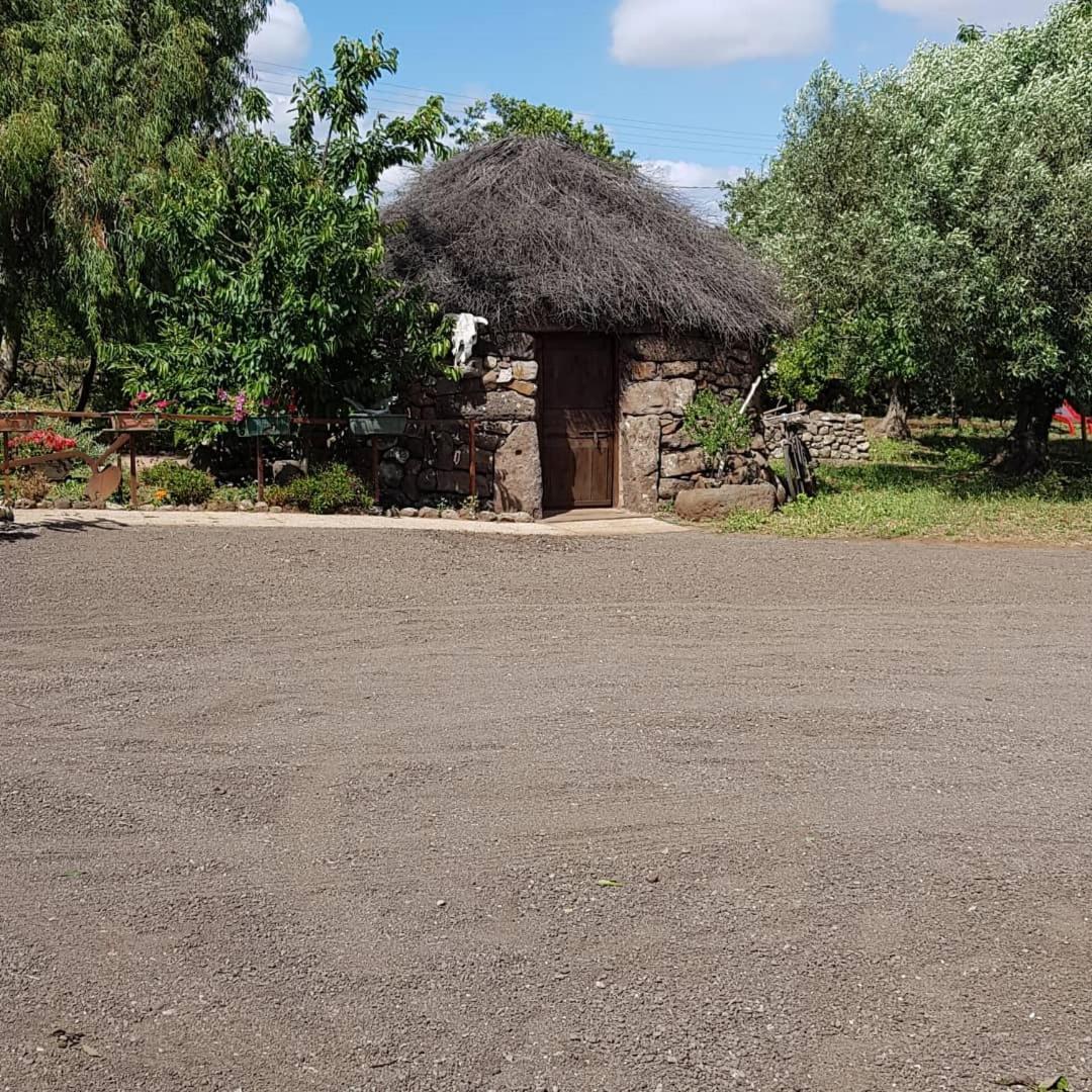 Azienda Agricola Affittacamere S'Ispinalba Di Laura Pitzolu Borore Exterior foto