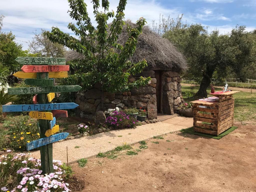 Azienda Agricola Affittacamere S'Ispinalba Di Laura Pitzolu Borore Exterior foto