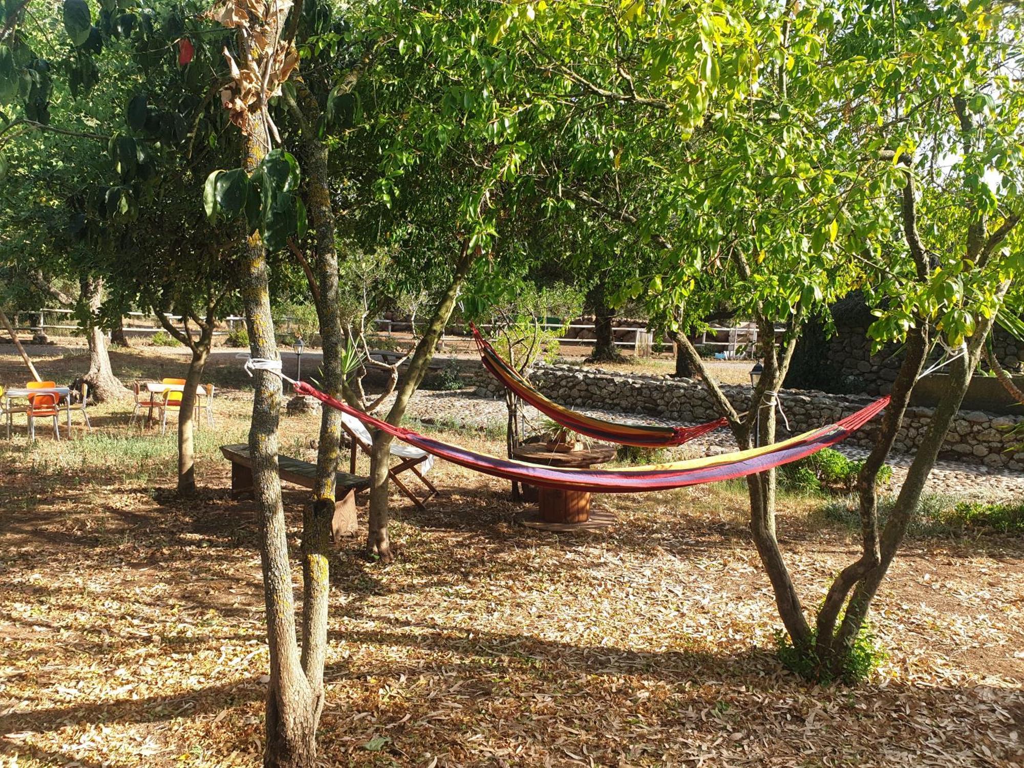 Azienda Agricola Affittacamere S'Ispinalba Di Laura Pitzolu Borore Exterior foto